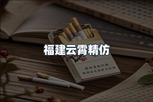 福建云霄精仿